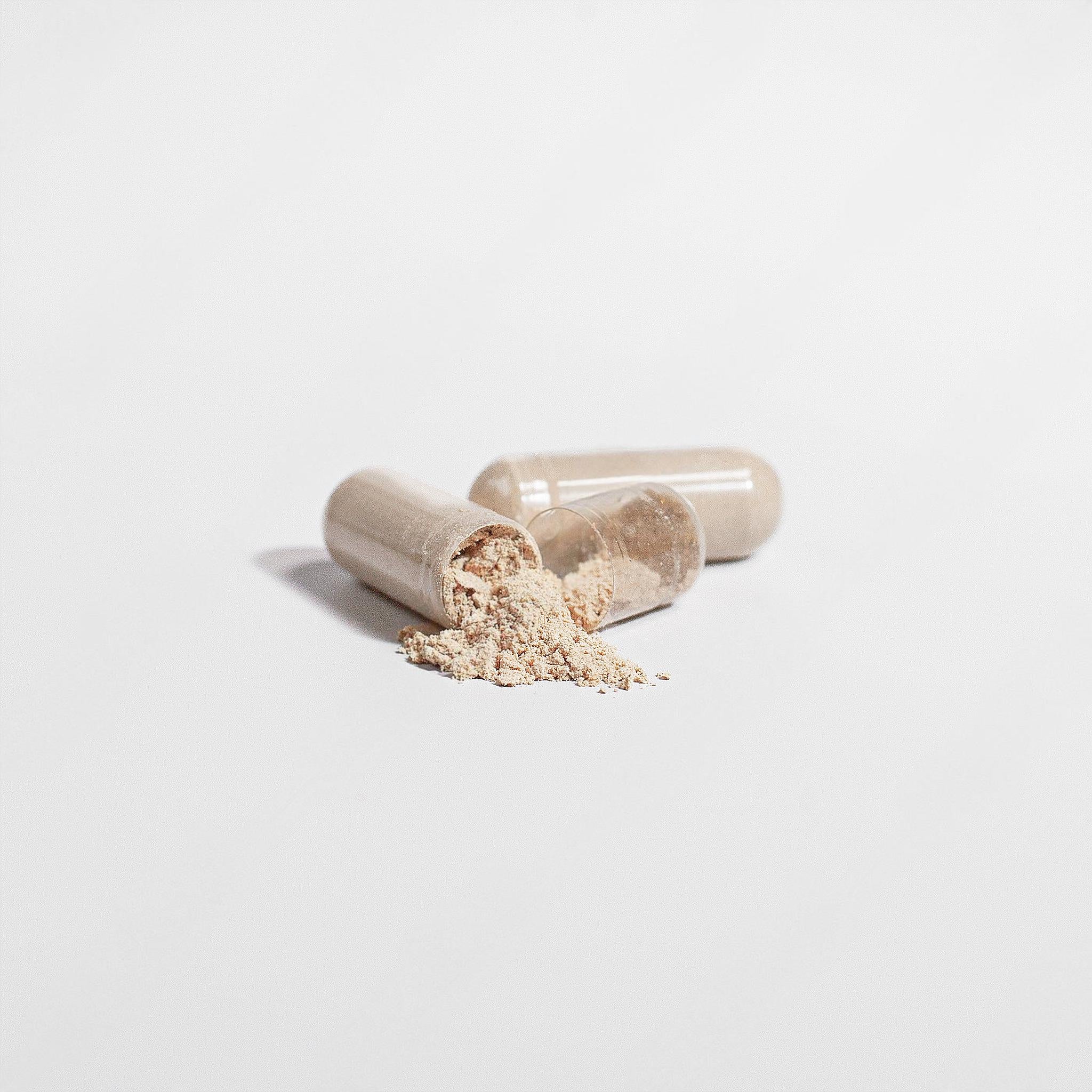 Ryzo Labs Lion's Mane Mushroom Capsules Close Up Vegan Third Party Tested USA Made