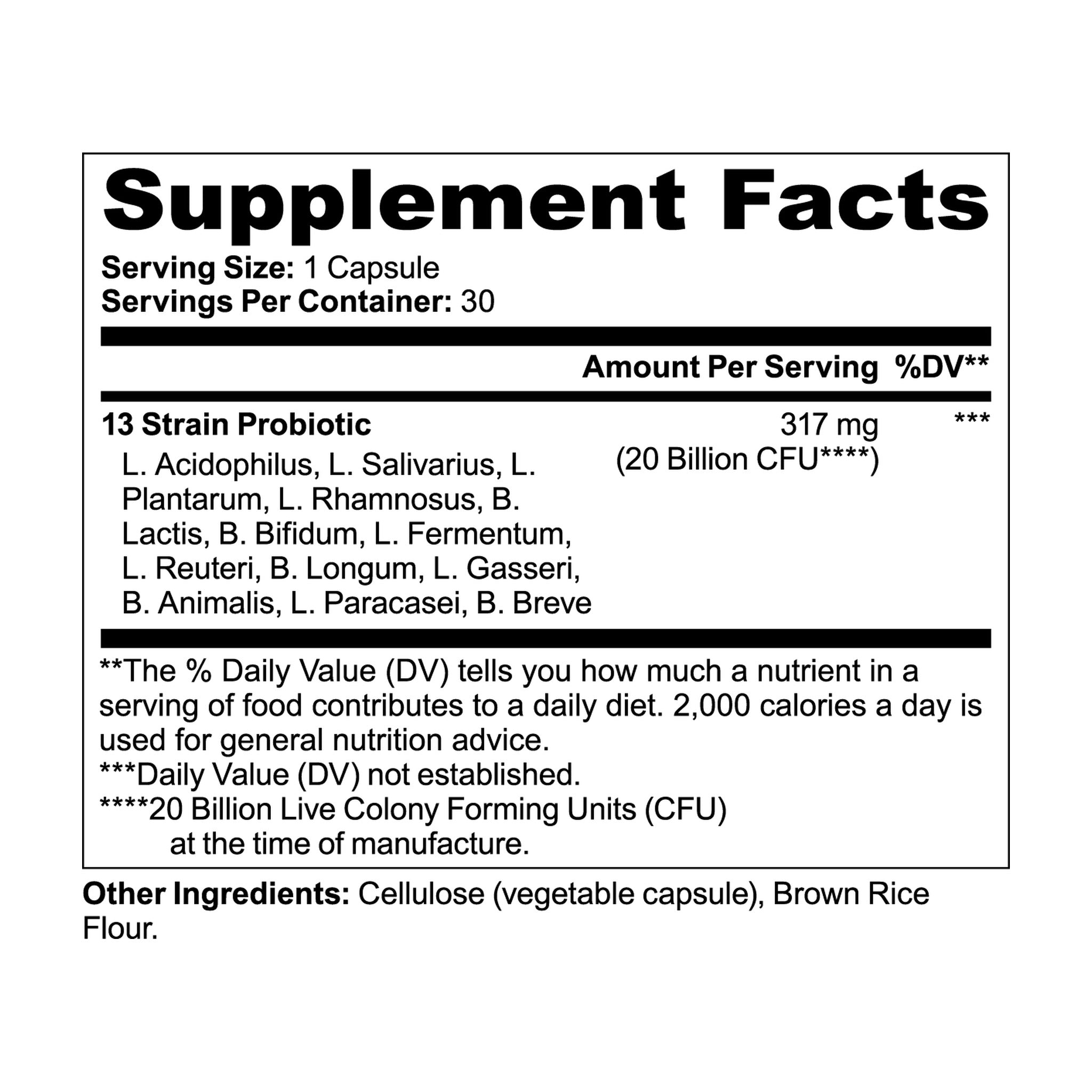 Best probiotic for digestive balance and gut flora support from Ryzo Labs