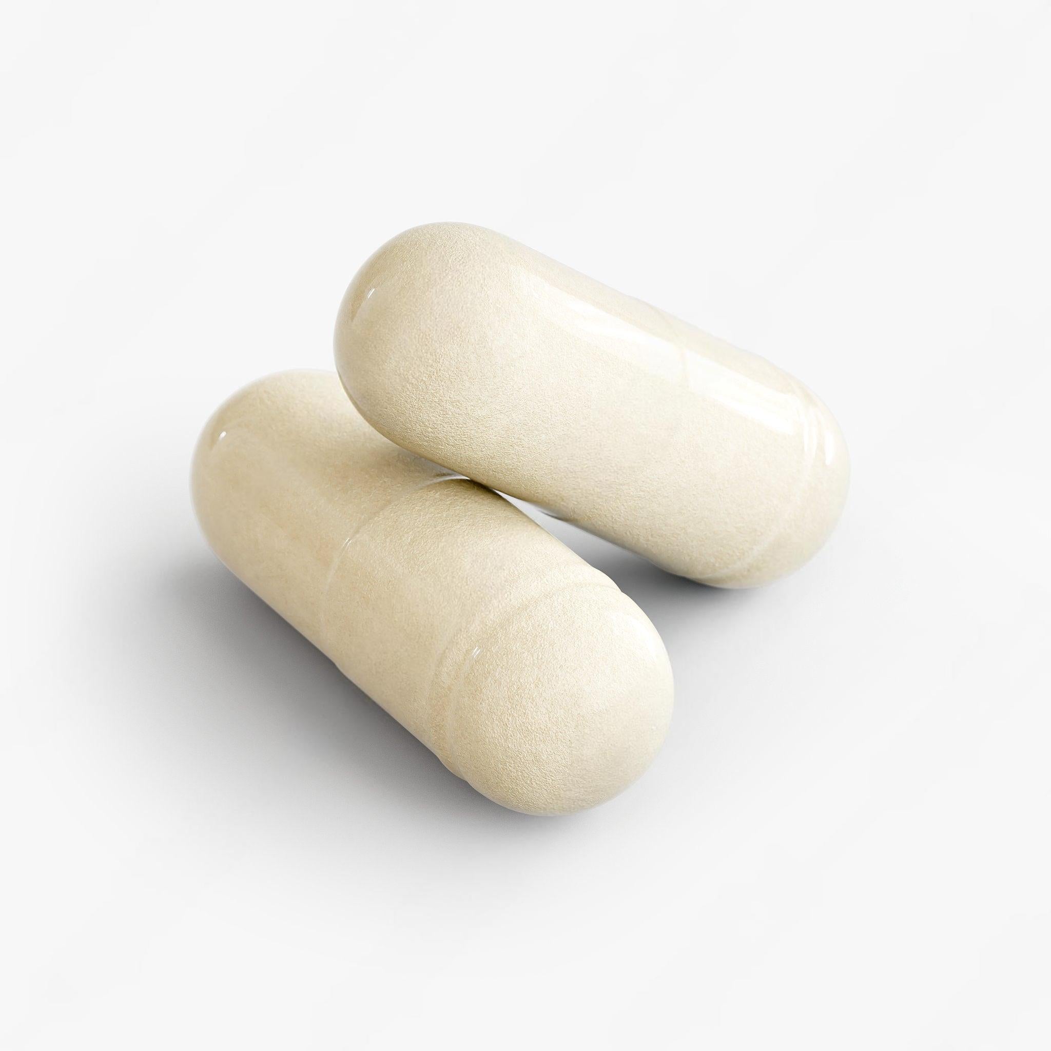 Daily probiotics for women and men to support gut and immune health by Ryzo Labs